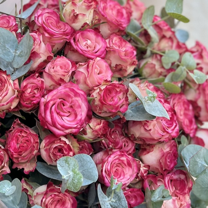 11 кустовых пионовидных роз Сансет мэджик 60 см с эвкалиптом